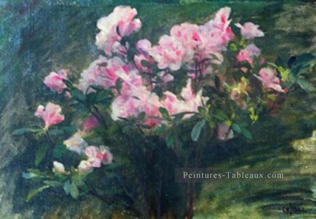 Azalees Etude fleur Charles Amable Lenoir Peintures à l'huile